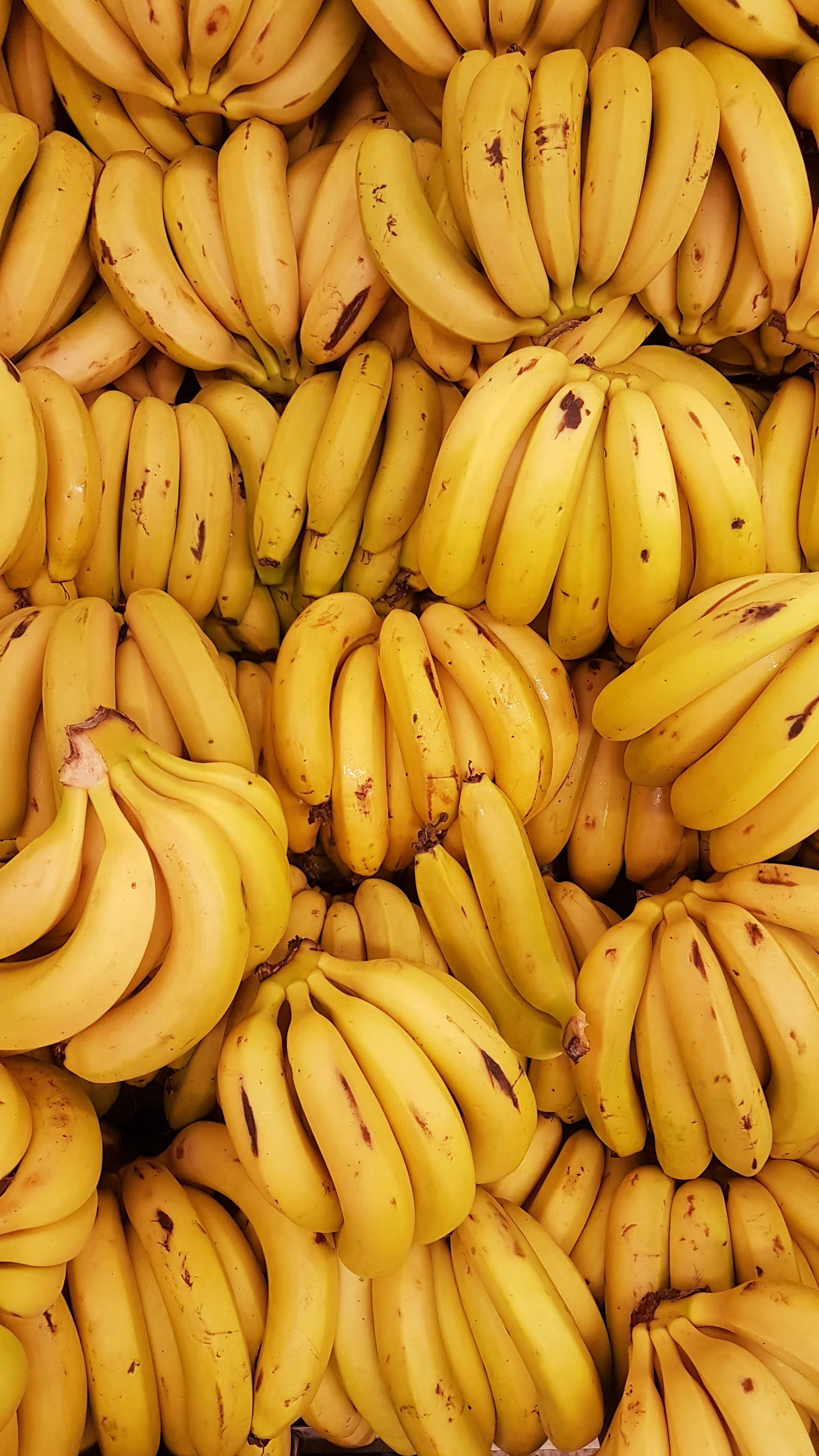 Banana bunch in crates at source