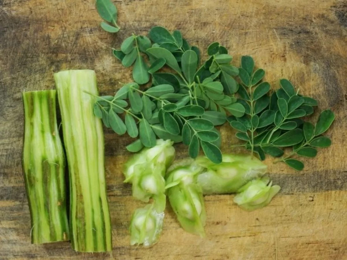 moringa feature
